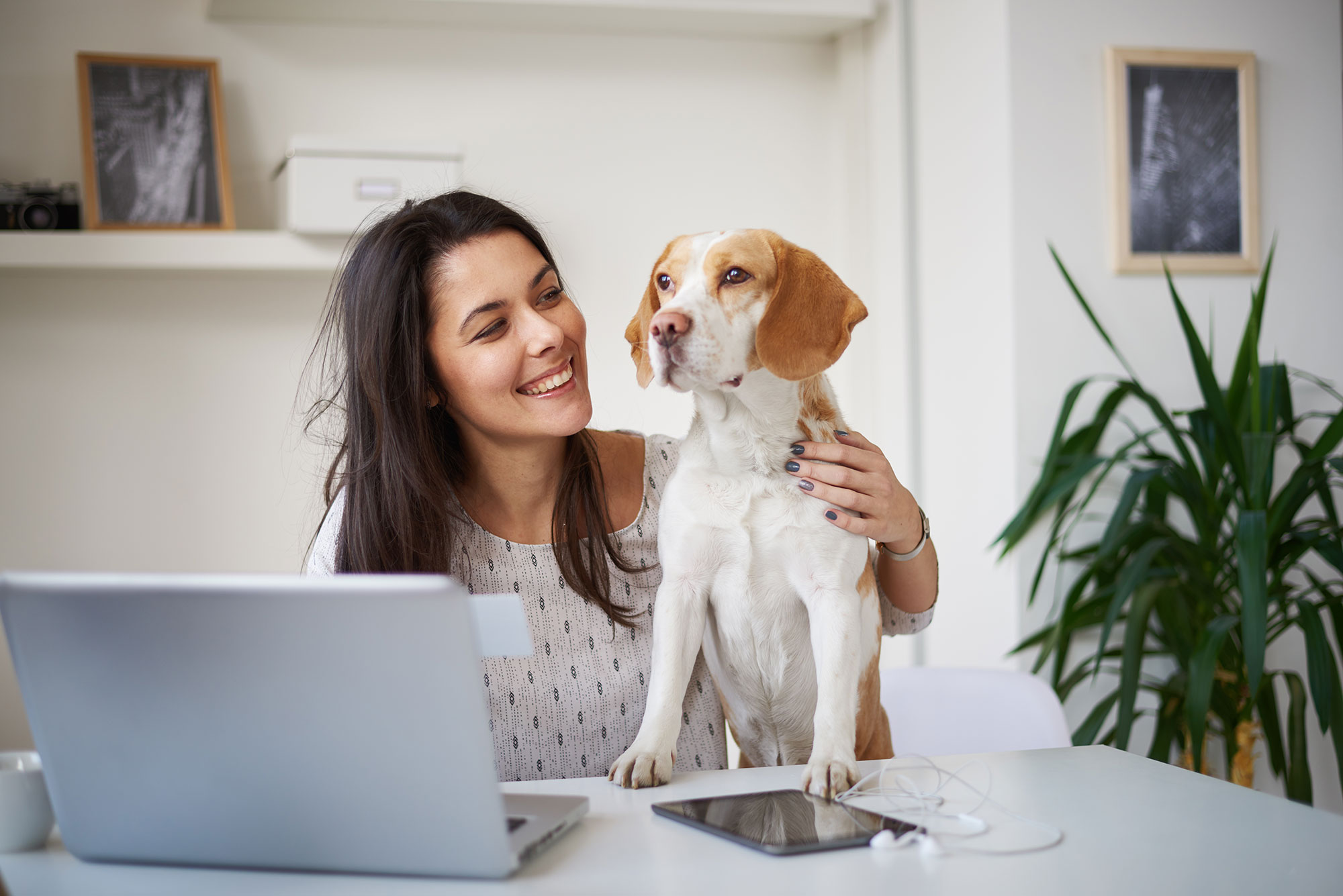 Top questions asked by apartment buyers