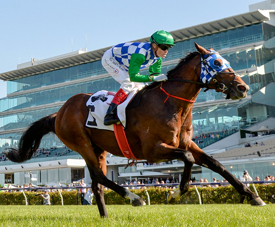 Chairman's Club Flemington