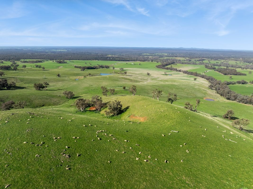 Rural Property Specialists