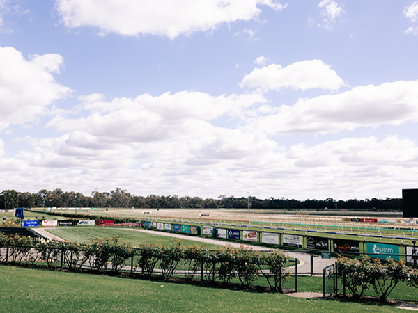 Bendigo Jockey Club