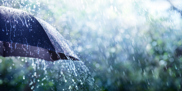 Full width project banner image