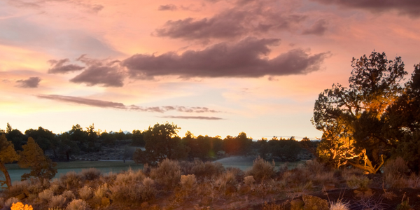 Full width project banner image