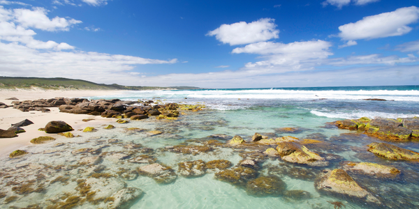 Full width project banner image