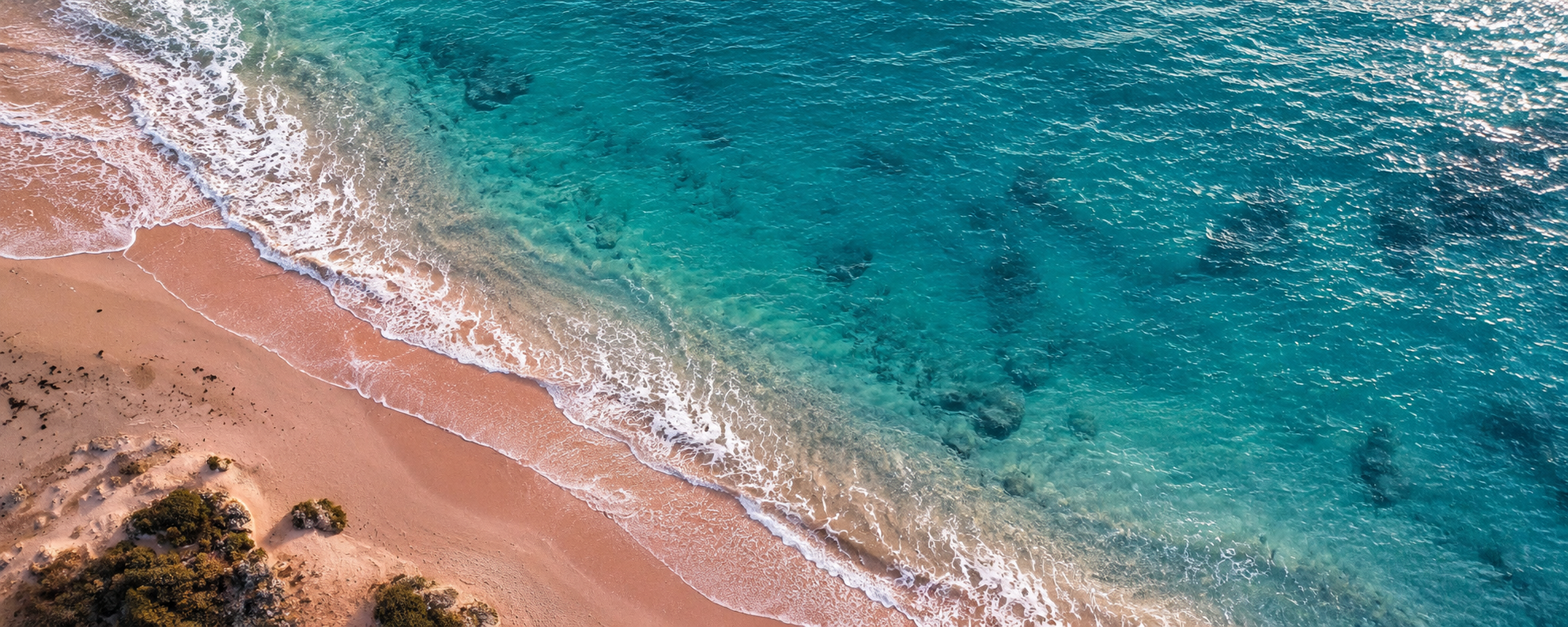 Full width project banner image